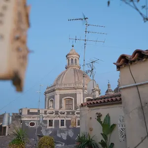 Hostel Degli Elefanti CTA